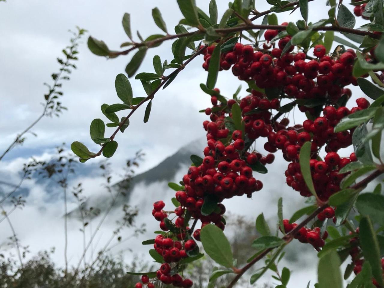Hualing拉拉山高园农场公寓 外观 照片
