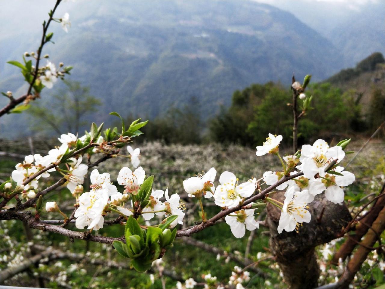 Hualing拉拉山高园农场公寓 外观 照片